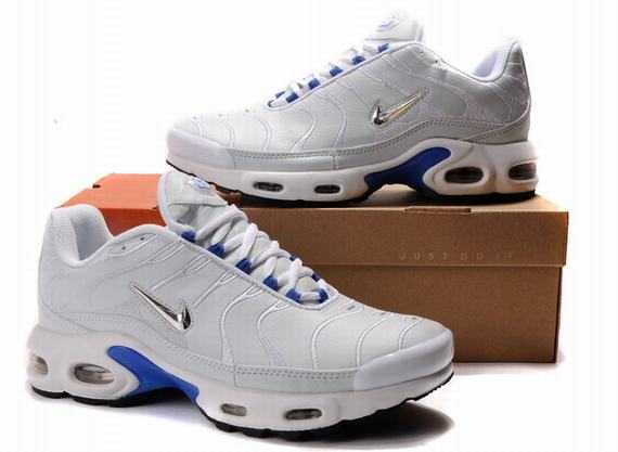 vente tn requin tn requin cru
